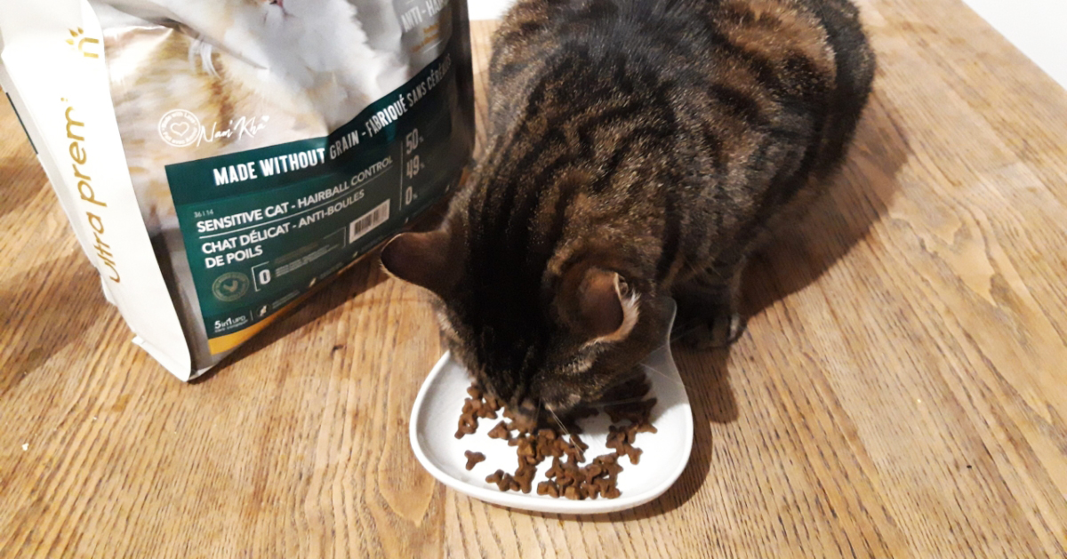 alimentation chats et chiens
