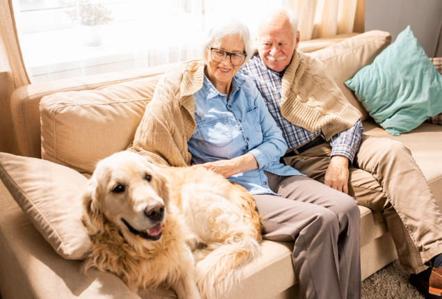 Image de Prenez soin de vos animaux de compagnie avec Ultra Premium Direct