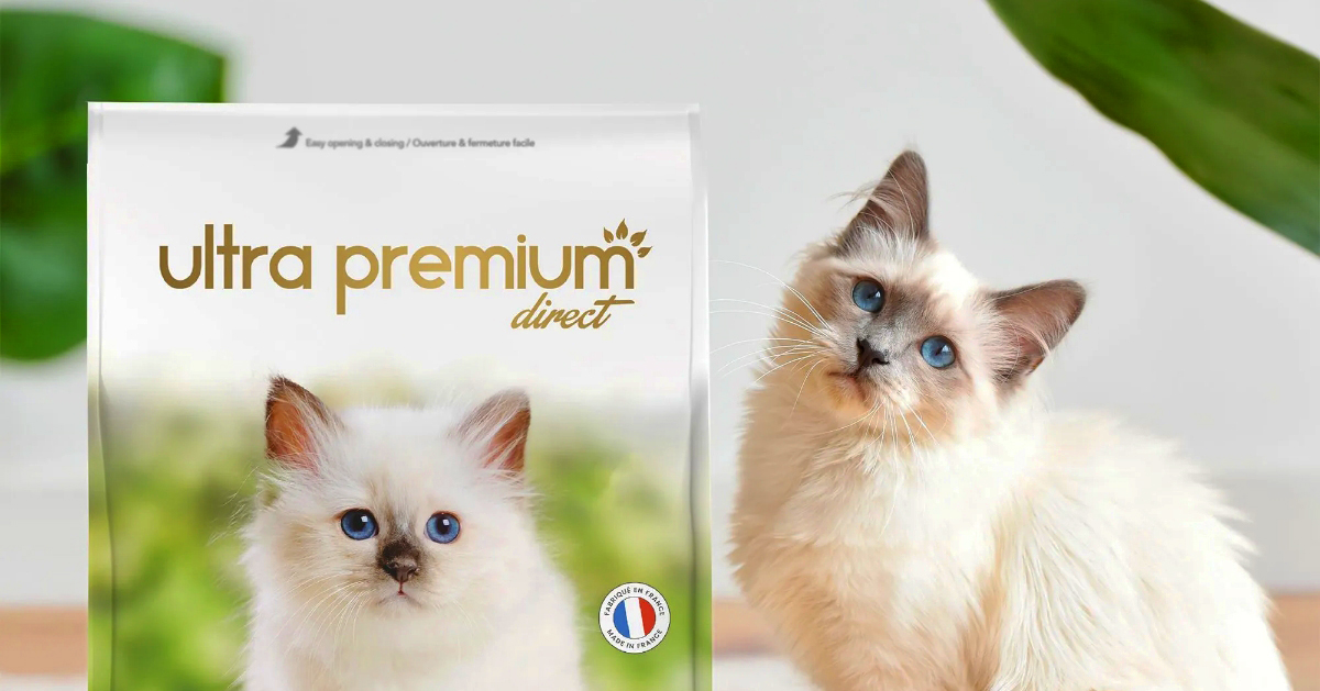 alimentation chats et chiens