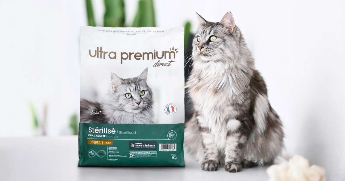 croquettes pour chats