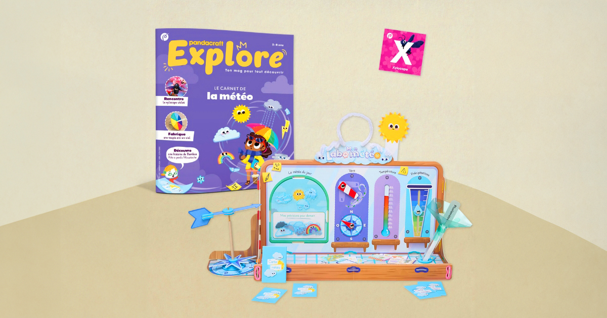 Soldes d’hiver 2026 : jeux et jouets à prix réduit, idées cadeaux petits-enfants