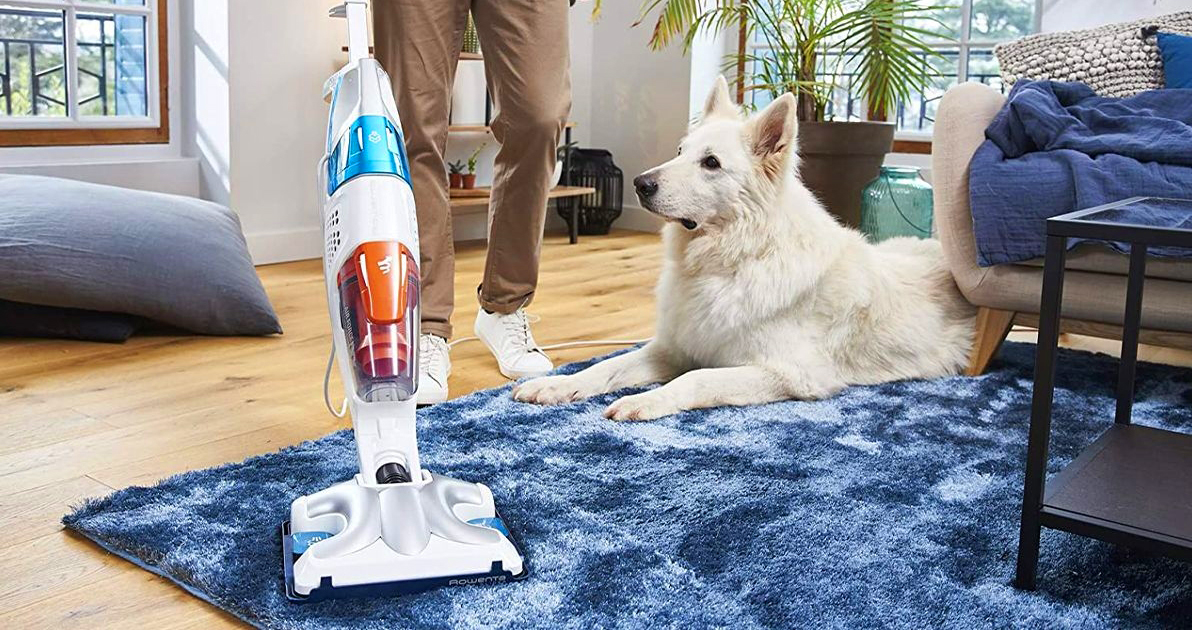 Les accessoires et aspirateurs Rowenta pour usage quotidien