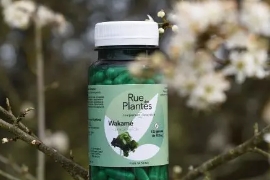 Offre Ruedesplantes