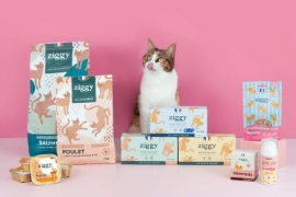 Offre Ziggy