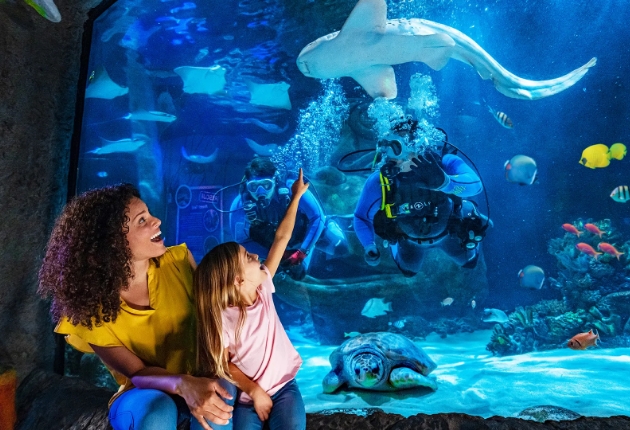 Visuel SEA LIFE