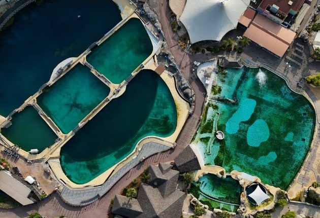 Visuel Marineland