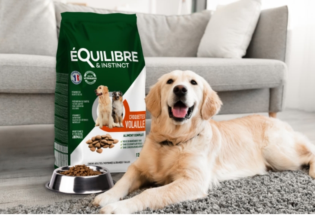 Visuel equilibre et instinct