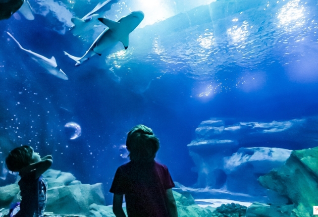 Visuel Aquarium de Paris