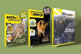 Visuel Salamandre