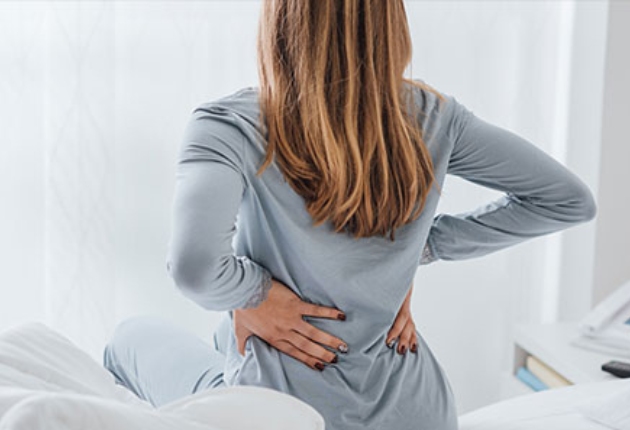 Visuel Laboratoire D.Plantes