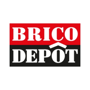Logo Brico Dépôt