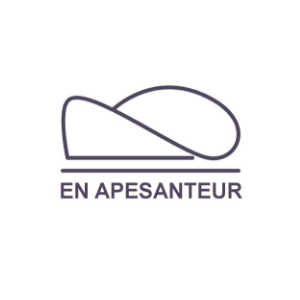 Logo En Apesanteur